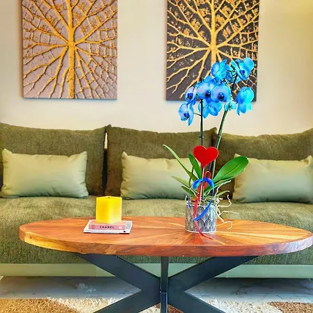 Psimithefto Luxury Apartmán *